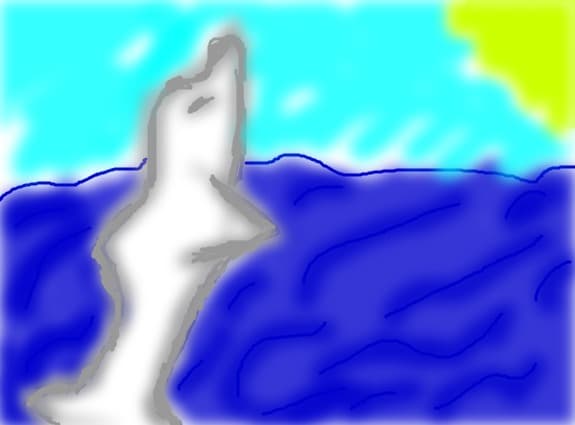 Dolphin