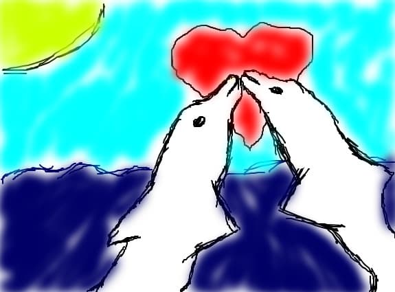 Dolphins love