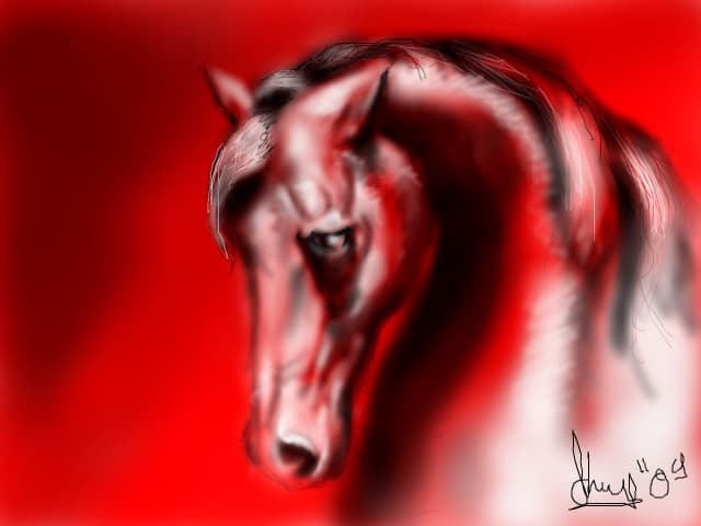 red horse