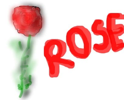 Rose