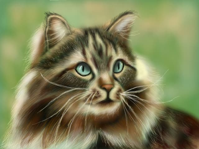 <3 Cat <3~