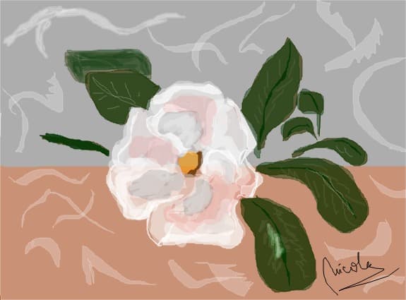 magnolie