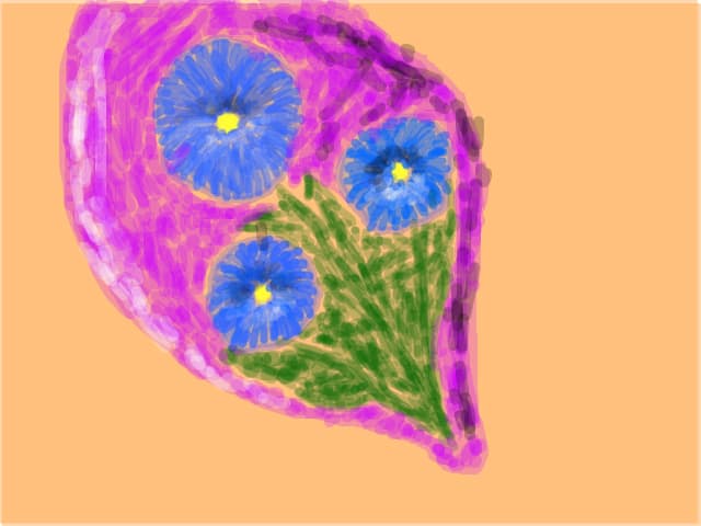 Flori