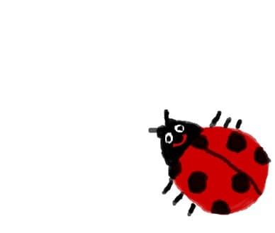 bubu