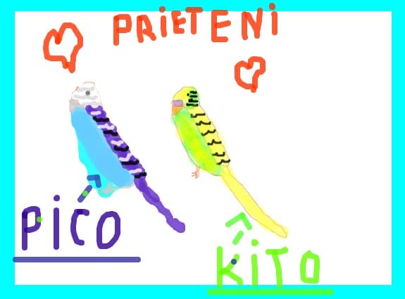 2 perusi