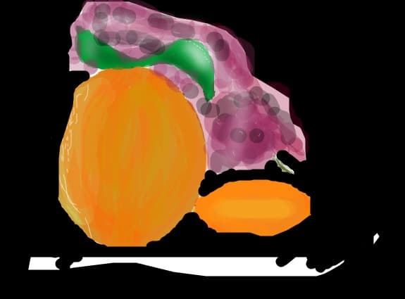 fructe lipite