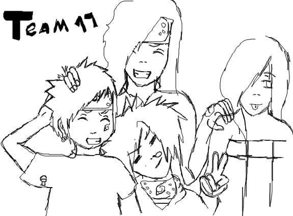 team 17
