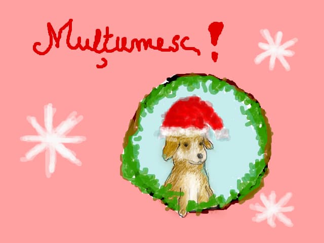 ,,stiu ca nu sunt cel mai frumos catel desent vreodata, darpot fi cel mai bun prieten:*"