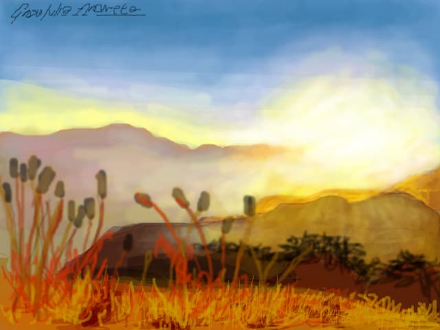 beautiful sunrise