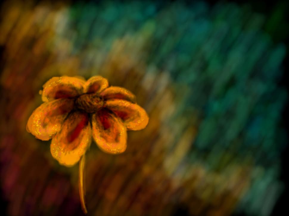 Fire, Ice and... a flower