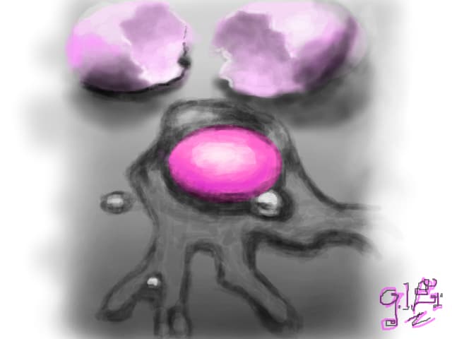 egg drawing