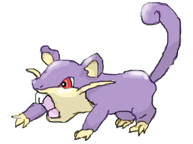 rattata