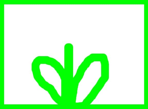 Floarea craiului