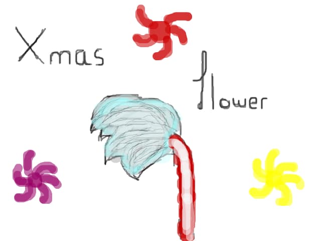 xmas flower