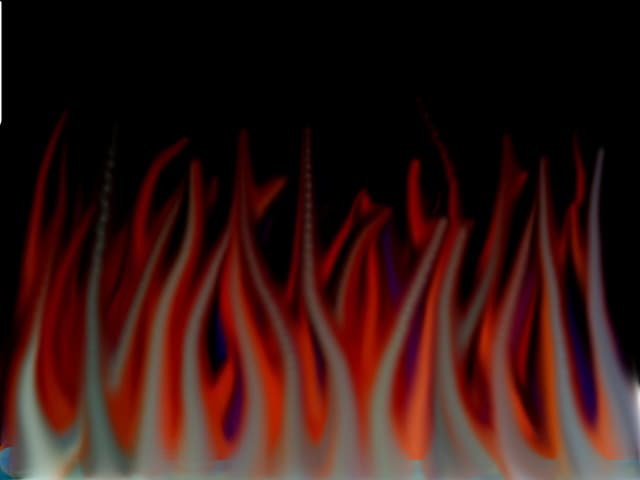 Foc