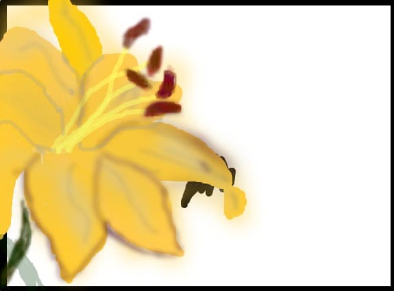 floare