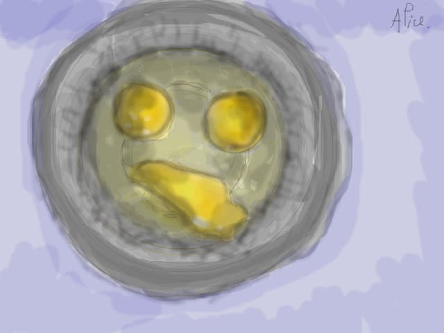 Eggs...