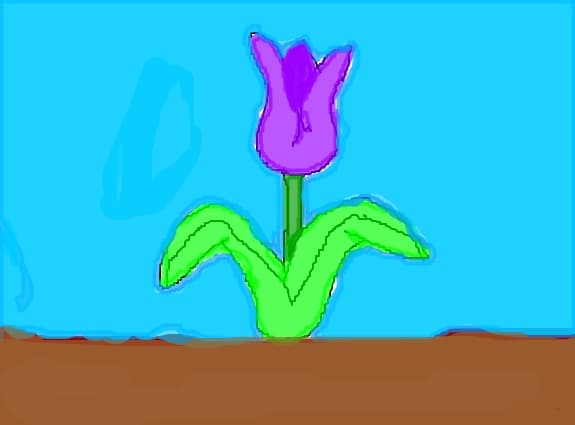 floare