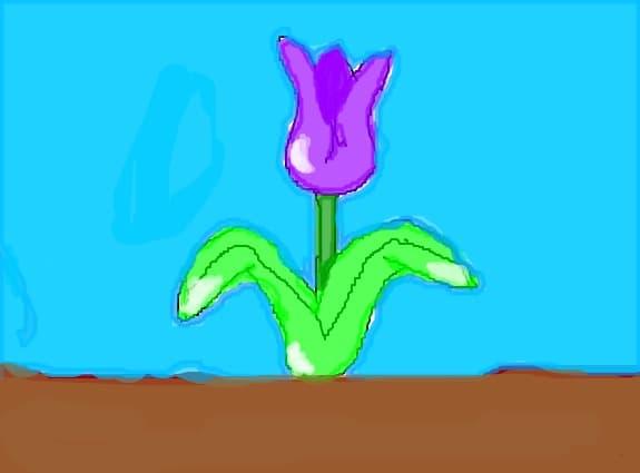 floare