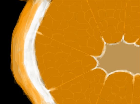 "purticala" neterminata
