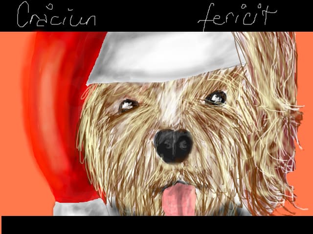 Craciun fericit!