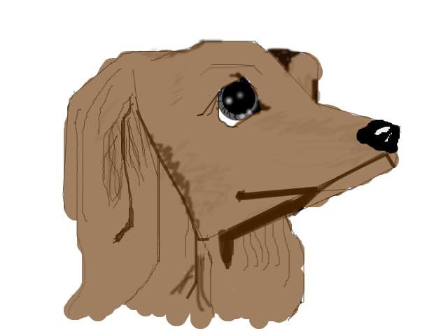 cocker