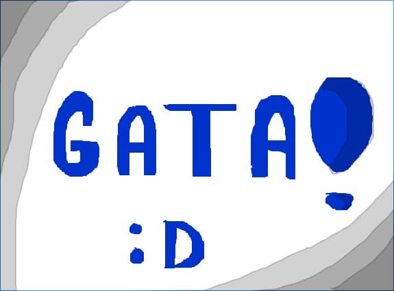 GATA CONCURSUL!!