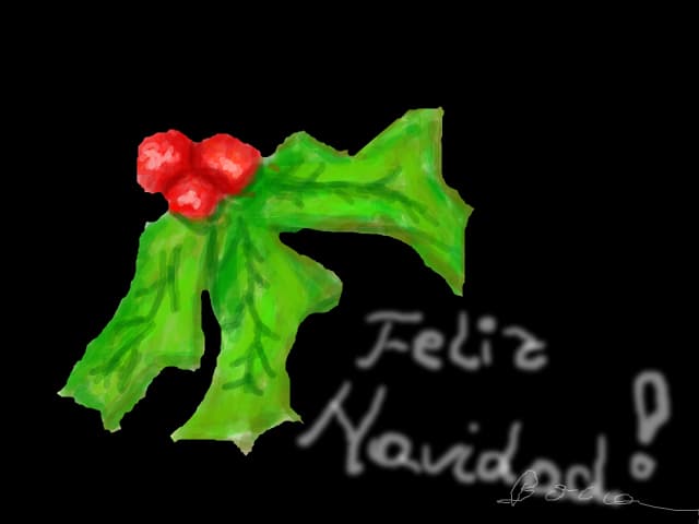 feliz navidad!