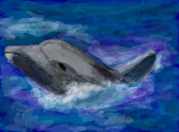 delfin