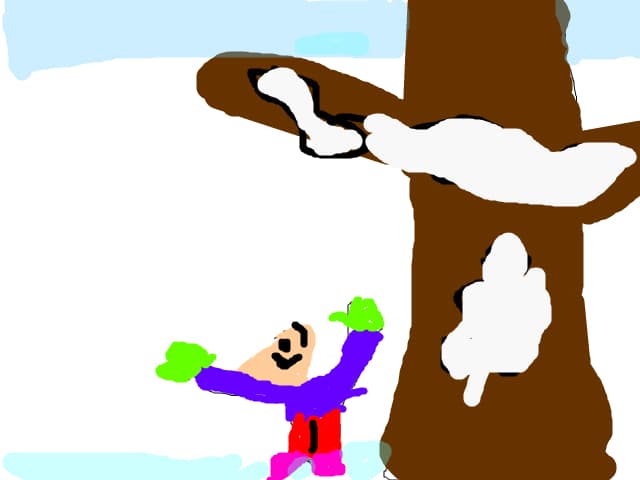 phineas in zapada
