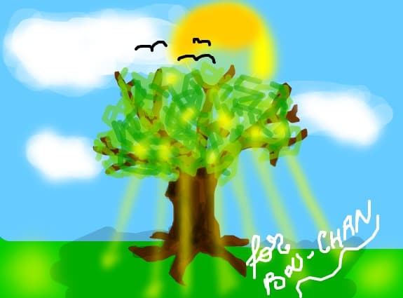 pentru bou-chan
