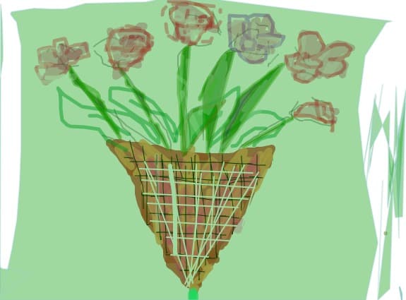flowers