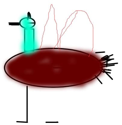 fsdf