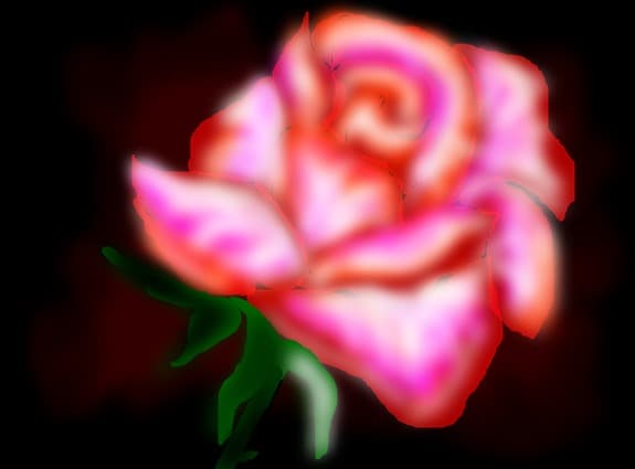 roza