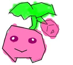 cherubi