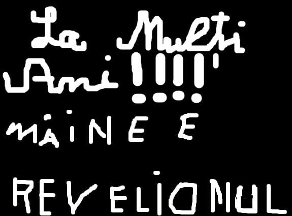 LA MULTI ANI:D