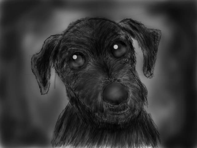 puppy