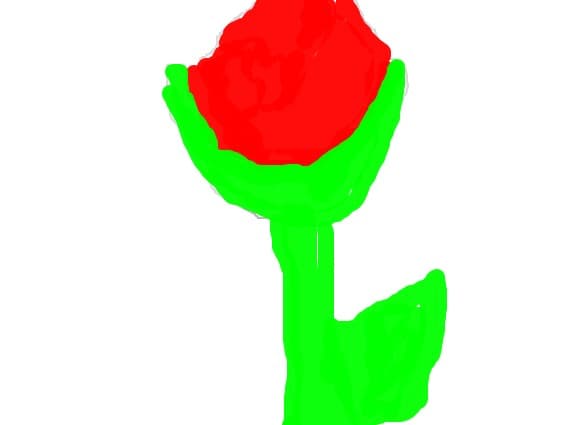 bobok