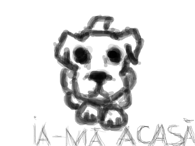 ia-ma acasa...