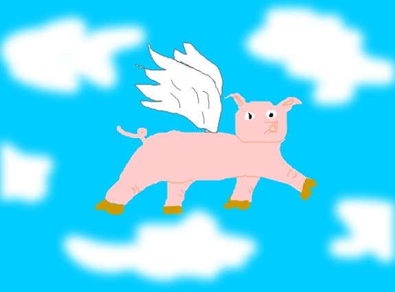 Raluca_e