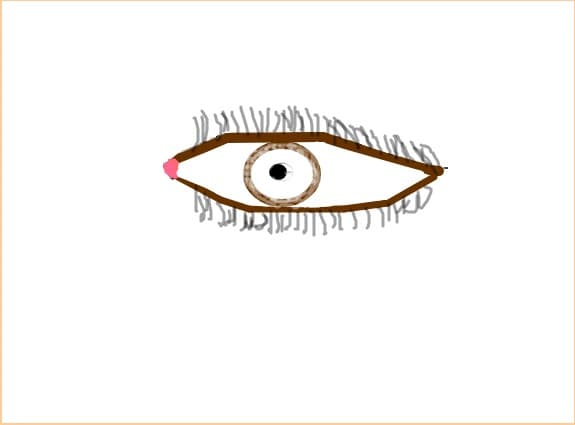 ochi
