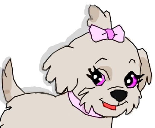 little pet