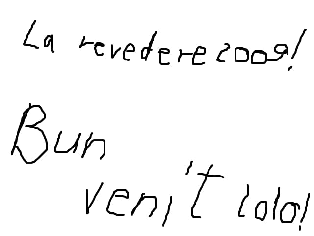 la revedere 2009 ! bun venit 2010 !