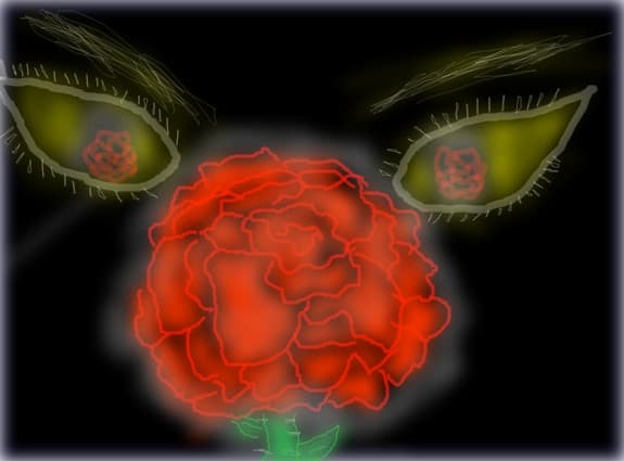 red rose