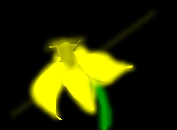 Floare