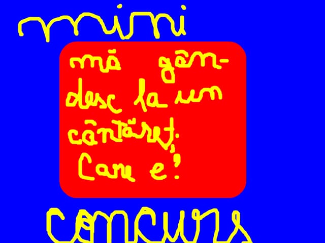 mini concurs
