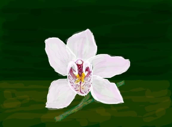 floare