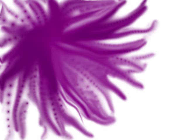 decoratiuni