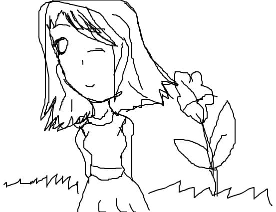 schita