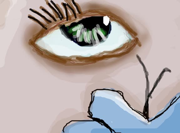 eye